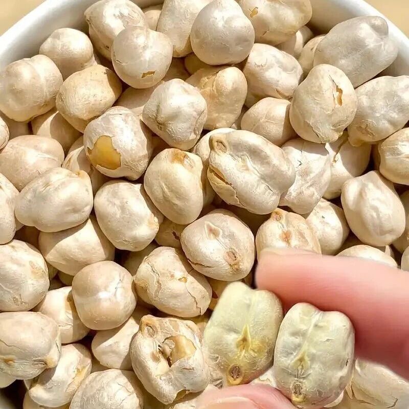 研究成果|低盐鹰嘴豆鱼糜复合凝胶的质地、风味及蛋白质消化变化：基于关东烹饪模型和肽组学
