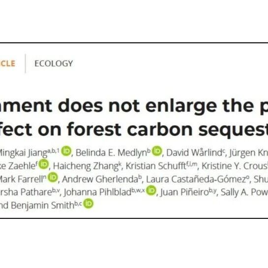 PNAS | 增施磷肥能增强森林的CO2施肥效应？