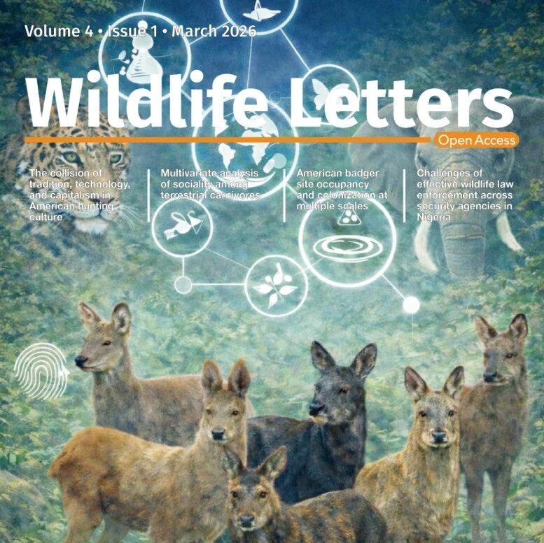 Wildlife Letters: 2026年第1期研究速递