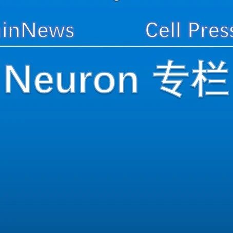 Neuron：华中科技大学刘丹/朱铃强团队揭示触觉刺激改善抑郁的神经环路新机制