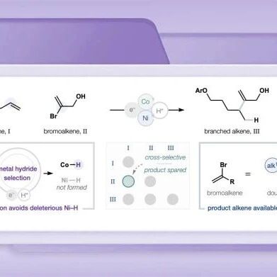 斯克利普斯研究所Shenvi组Science：交叉和支链选择性MHAT引发氢化烯基化反应
