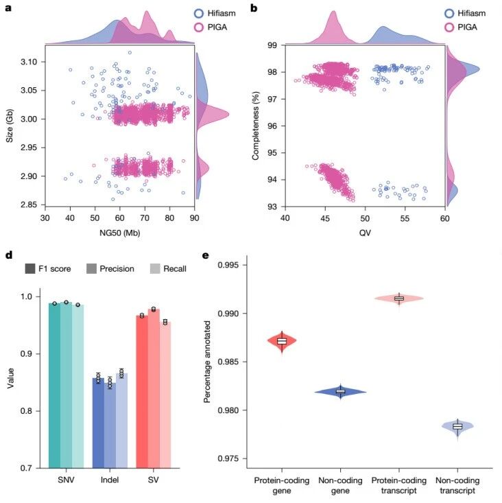 西湖大学最新Nature