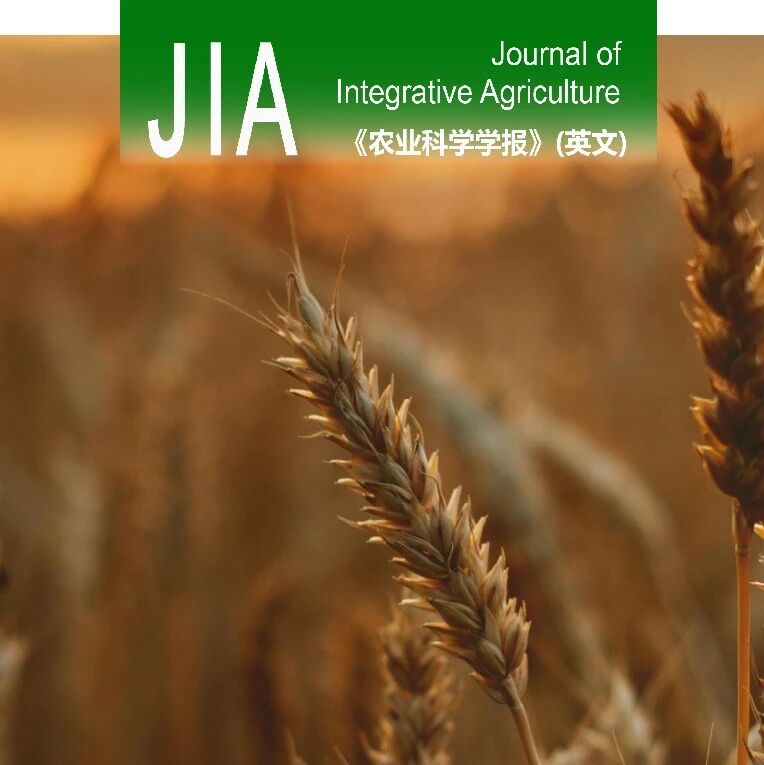 JIA优先上线 | 河南科技大学王春平教授团队在小麦籽粒铜含量与品质性状协同提升方面取得新进展