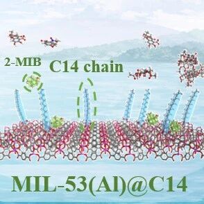 深圳职业技术大学高静思团队WR：疏水界面工程助力水中痕量2-MIB高效去除