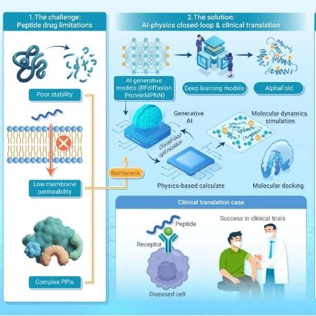 The Innovation Drug Discovery | 靶向多肽药物设计的“进化史”：从计算模拟到生成式AI的破局之路