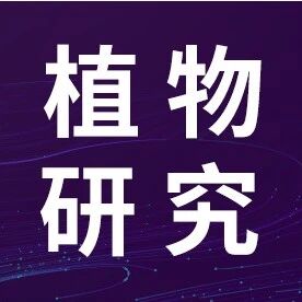 Nature Genetics：时空组学技术如何为小麦精准育种开辟新方向？