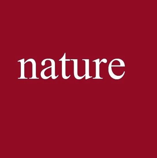 复旦/南大/东京大学合作，Nature！