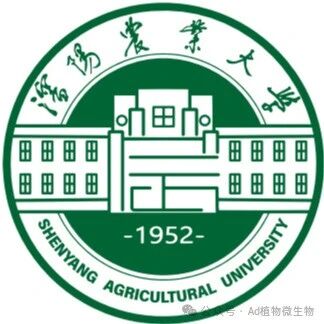 沈阳农业大学博士生第一作者在Top期刊发表研究论文，取得关于植物根际促生菌在樱桃促生效应方面的新进展