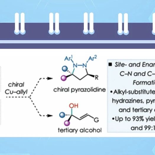 【JACS】美国北卡罗来纳大学Meek课题组：铜催化对映与位点选择性制备α-取代肼、吡唑烷及三级醇类化合物