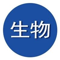 仿生螳螂虾“马鞍”结构的非晶磷酸钙锌/几丁质支架的骨修复研究