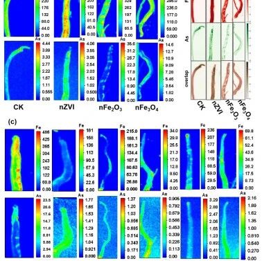 西北农林科技大学博士生一作在顶级期刊发表重要研究成果