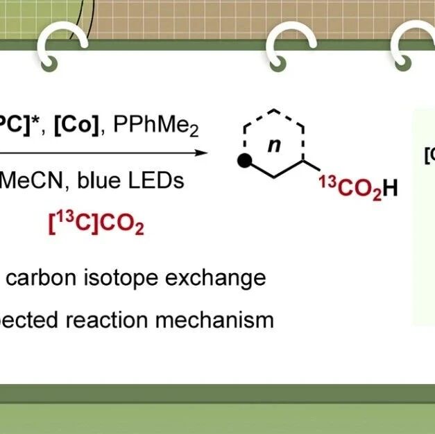 ACS Catal.：钴/光氧化还原催化、膦介导的未活化烷基羧酸的碳同位素交换