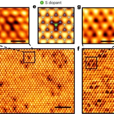 研究前沿：拓扑绝缘体WSe₂-能带拓扑 | Nature Physics