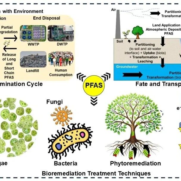 美国南达科他州矿业与技术大学SEH：探索PFAS污染治理——生物修复技术的最新进展