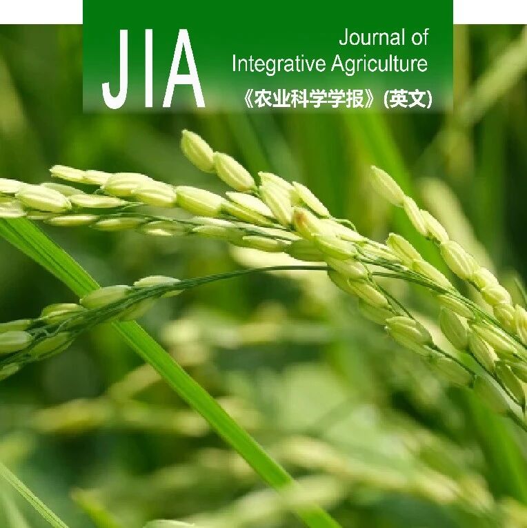 JIA优先上线 | 四川农业大学联合国内外单位提出水稻模型校准新框架：揭示物候阶段选择与施氮处理配置在率定策略设计中的关键作用