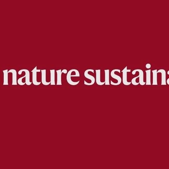 港城大Steven Wang/中科院过程所杨超/帝国理工学院Omar Matar合作，Nature Sustainability！