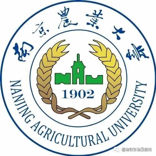 Adv Sci：南京农业大学植物保护学院吴顺凡教授团队揭示鳞翅目昆虫精子二态性调控新机制