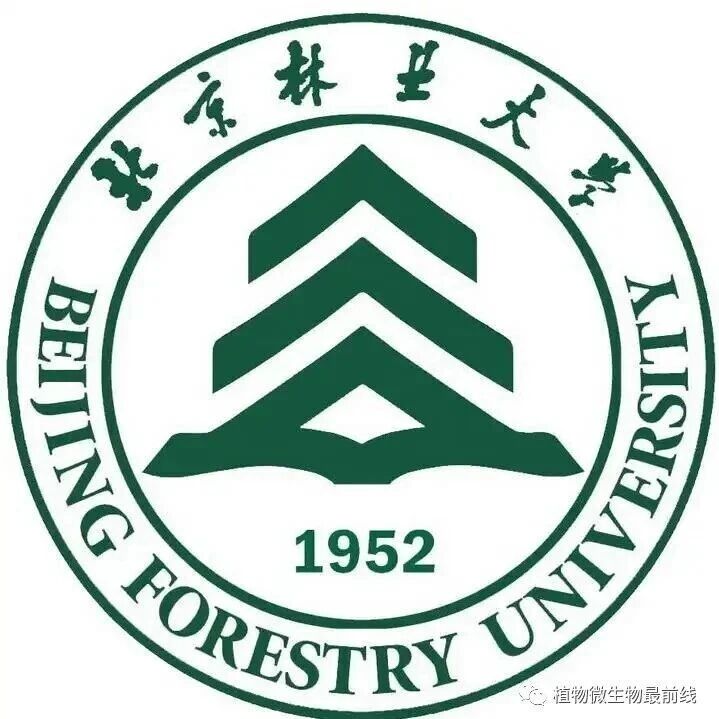AFM：北京林业大学材料学院高强教授团队通过分子缠结和有机-无机杂化制备强韧大豆蛋白/玉米蛋白粘合剂