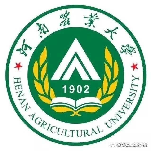 Adv Sci：整合单细胞与空间转录组学揭示玉米响应南方锈病的细胞类型特异性免疫调控网络