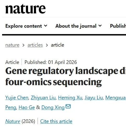 Nature | 北京大学邢栋课题组开发单细胞四组学技术解析三维表观遗传调控编码