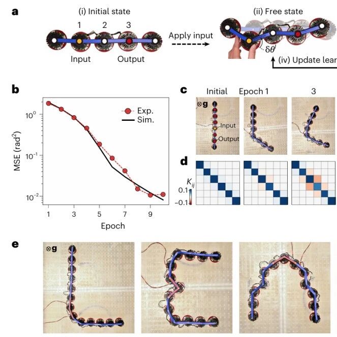 研究前沿：AI+超材料，物理学习-形状变形 | Nature Physics