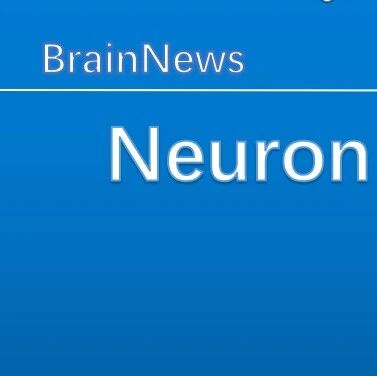 Neuron：葛少宇/熊巧婕合作揭示星形胶质细胞为成体新生神经元的存活提供糖代谢支持