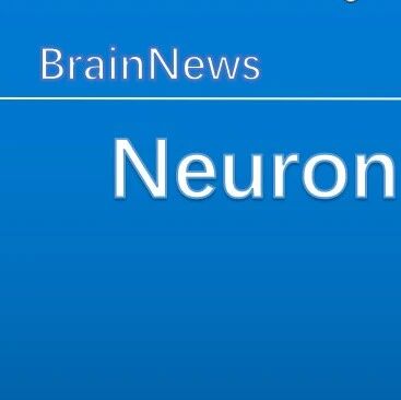 Neuron：缪庆龙等揭示P/Q 型钙通道缺陷如何重塑发育中的丘脑