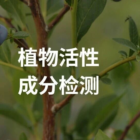 20万+样本的沉淀！一站式植物活性成分检测，助力您的SCI论文快速见刊
