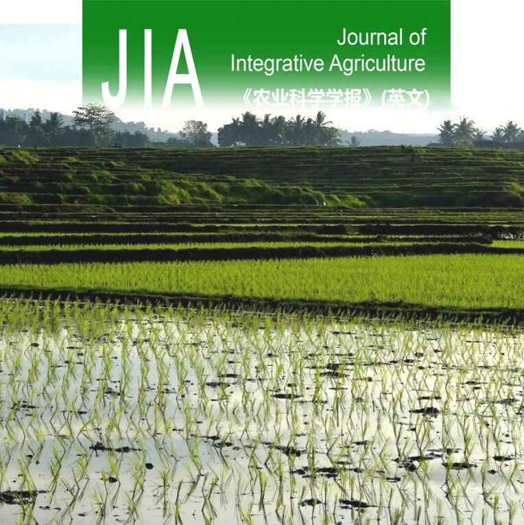 JIA优先上线 | 扬州大学水稻栽培与生理生态团队揭示轻干湿交替灌溉通过根源油菜素甾醇协同水稻高产与甲烷减排的机制