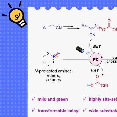 【JACS】南京中医药大学胡立宏/颜建明：光诱导烷氧羰基氧自由基的氢原子转移介导脂肪C−H胺化反应