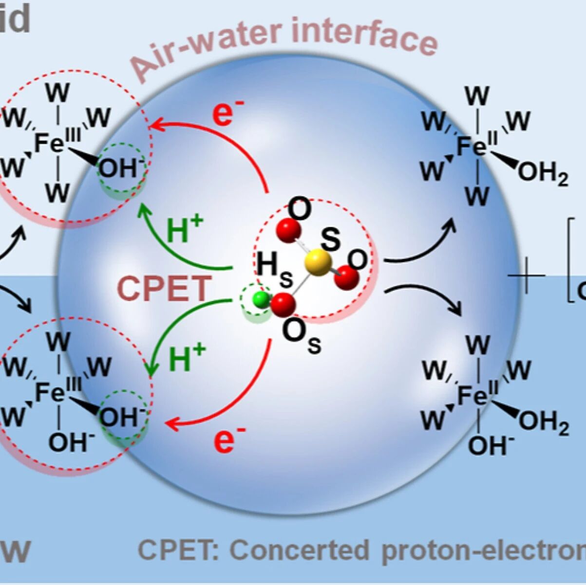 【JACS】中国科学院生态环境研究中心贺泓院士团队：Fe(III)加速气液界面S(IV)氧化的机制研究