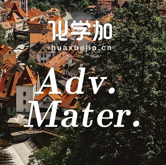 北大裴坚课题组和张文彬课题组Adv. Mater.：共轭高分子的剪切诱导取向与高迁移率电荷传输