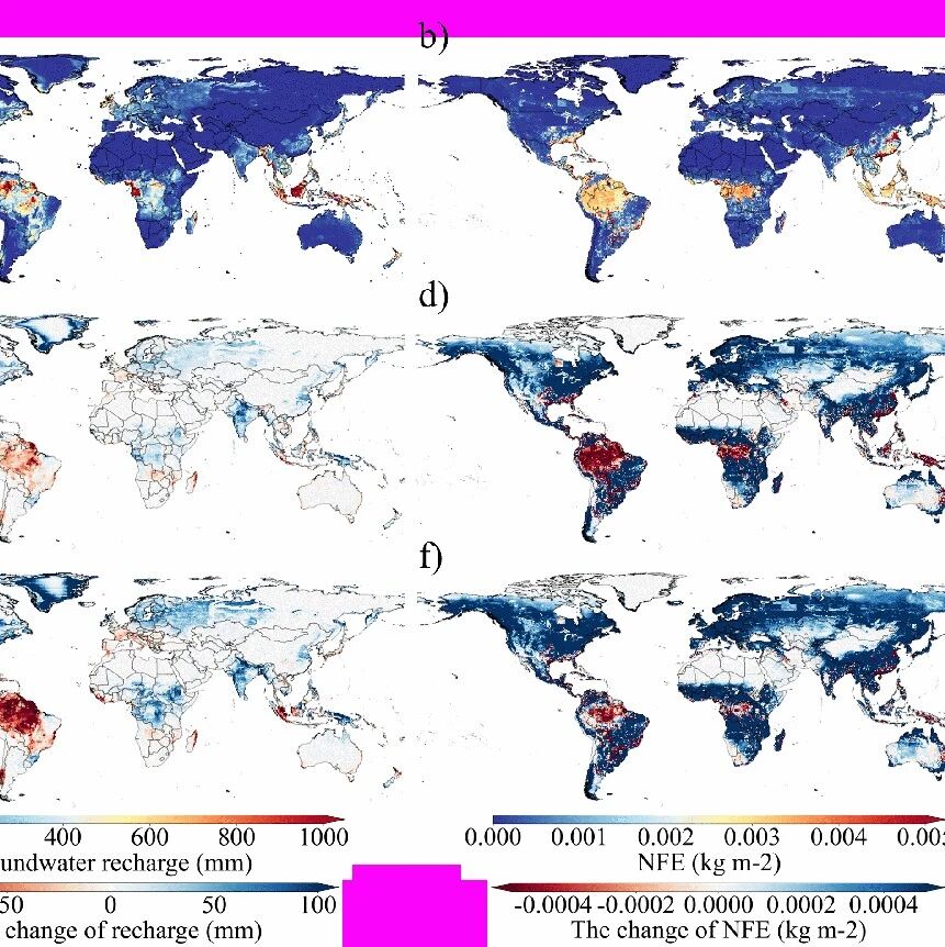 Water Research | 东北地理所在地下水补给增加将提升全球地下水依赖型生态系统固氮效率方面取得重要进展