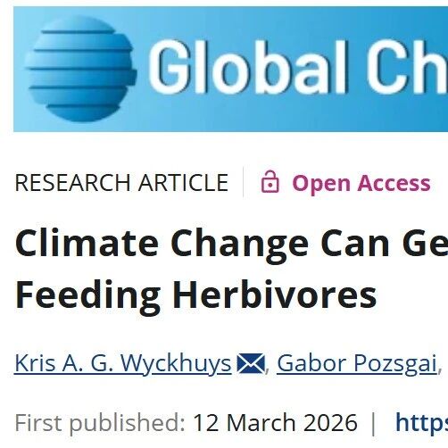 Global Change Biology | 气候变化可能加速农作物害虫的分布扩张和天敌释放