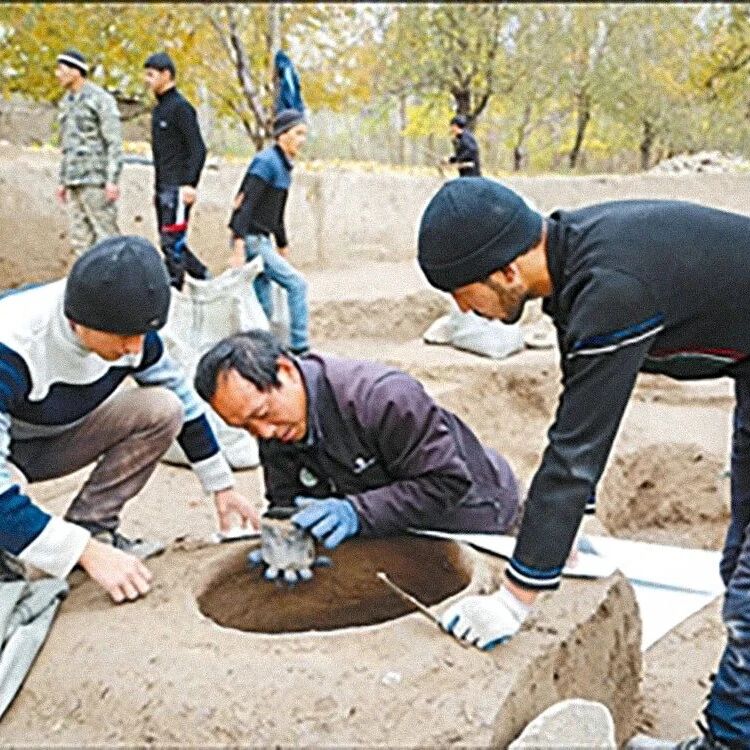 中乌联合考古，探寻丝路文明印迹