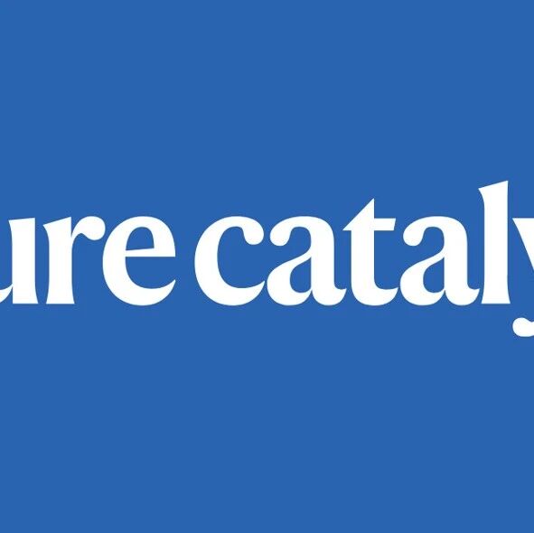 Fe单原子催化，再发Nature Catalysis！