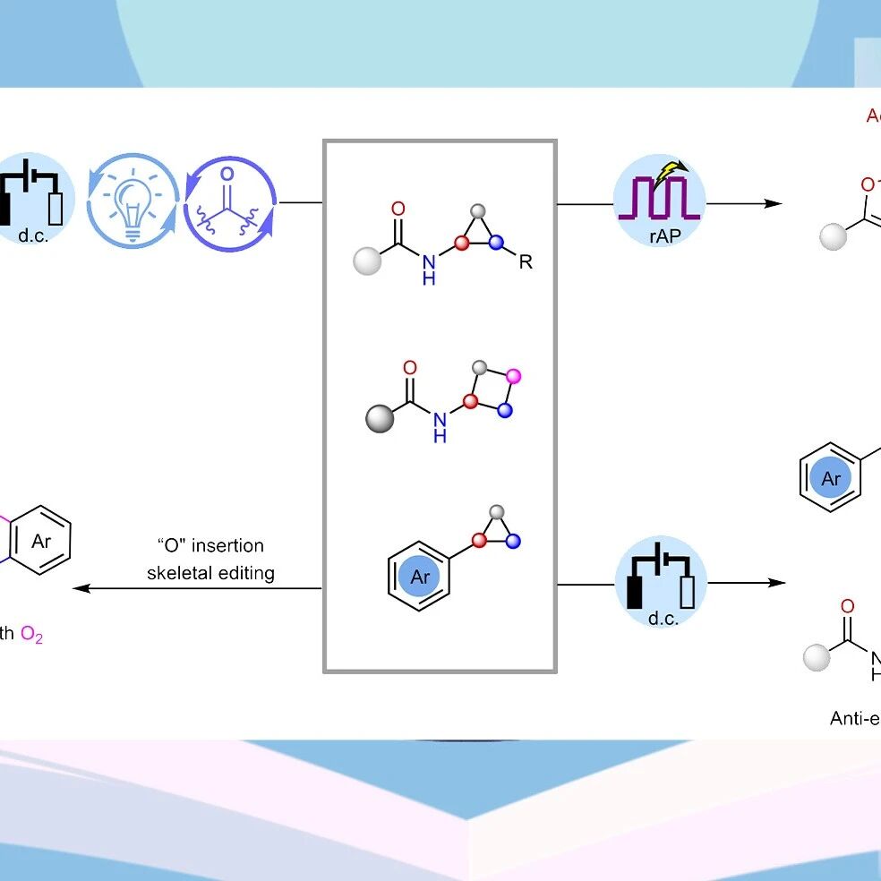 【Nat. Chem.】上海交通大学申涛/宁波东方理工朱宸/河南大学艾文英：张力环的可编程电化学开环多官能团化