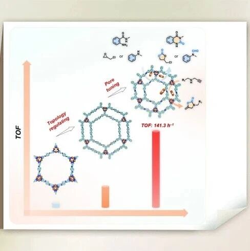 暨南大学宁国宏/李丹教授团队Chem：调控共价金属有机框架的拓扑结构和孔径提高其催化CO₂转化性能
