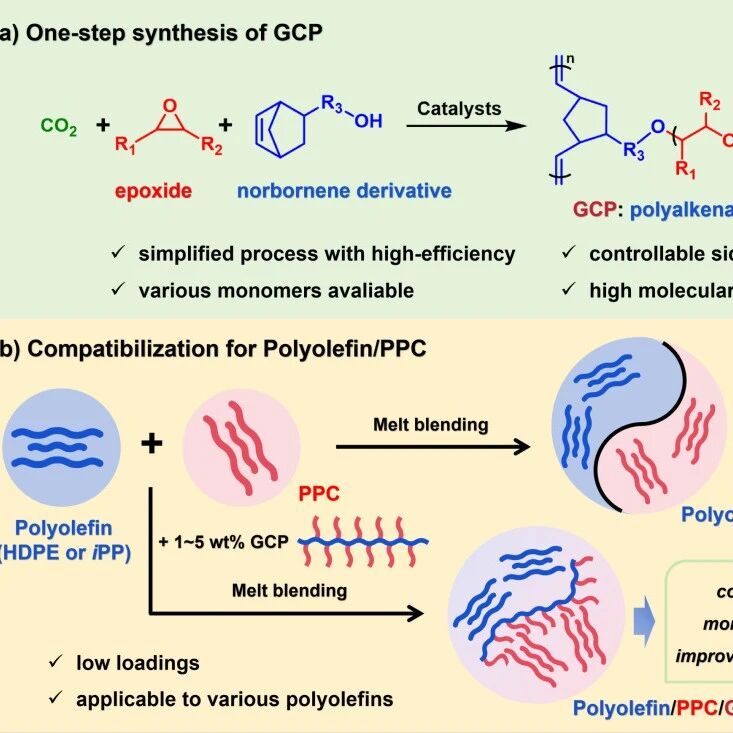 烟台大学秦玉升教授团队Macromolecules: CO₂基接枝共聚物助力聚烯烃/聚碳酸丙烯酯混合塑料物理回收