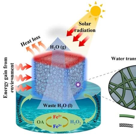 壳聚糖材料0406丨吉林大学李莉莉教授团队CEJ论文：‌一种简化的基于壳聚糖的纤维气凝胶用于太阳能驱动的水净化和环境修复