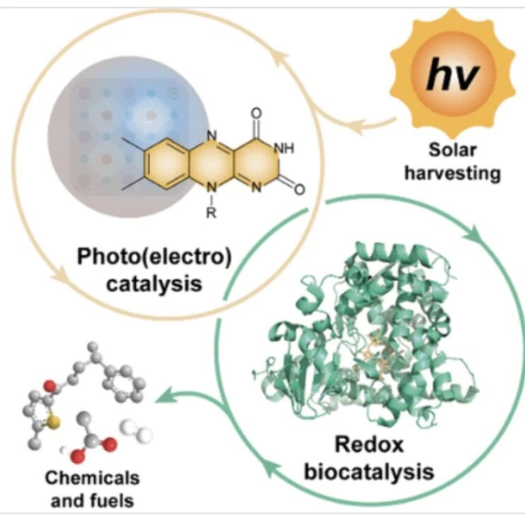 Chem. Rev.：太阳能到化学生物转化的原理、材料和装置
