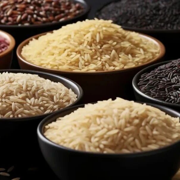 《食品科学》：中国农业大学王丽娟副教授、刘思源副教授等：重组米在功能性食品领域中的研究进展与营养强化策略