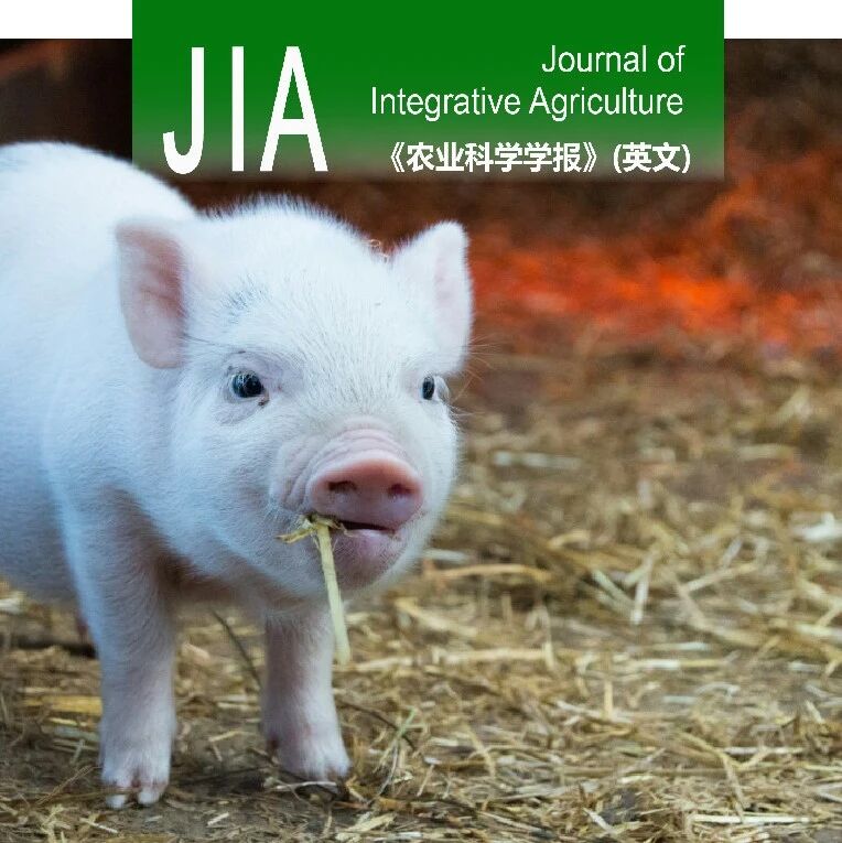 JIA优先上线 | 哈尔滨兽医研究所翁长江研究员团队在ASFV逃逸天然免疫方面取得新进展
