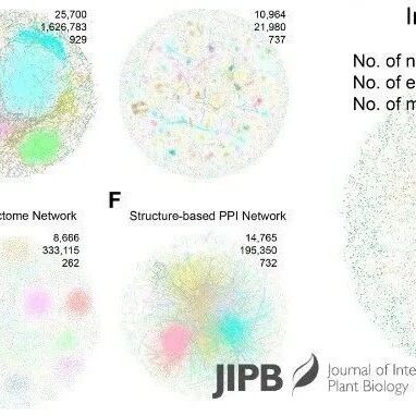JIPB | 南京农业大学张绍铃院士团队构建梨多组学整合网络,为解析果实品质形成的分子调控机制提供全新技术平台