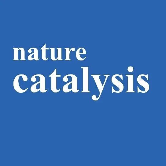 天津理工大学，Nature Catalysis！