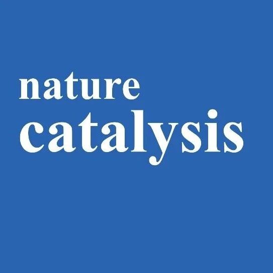 单原子催化，Nature Catalysis！