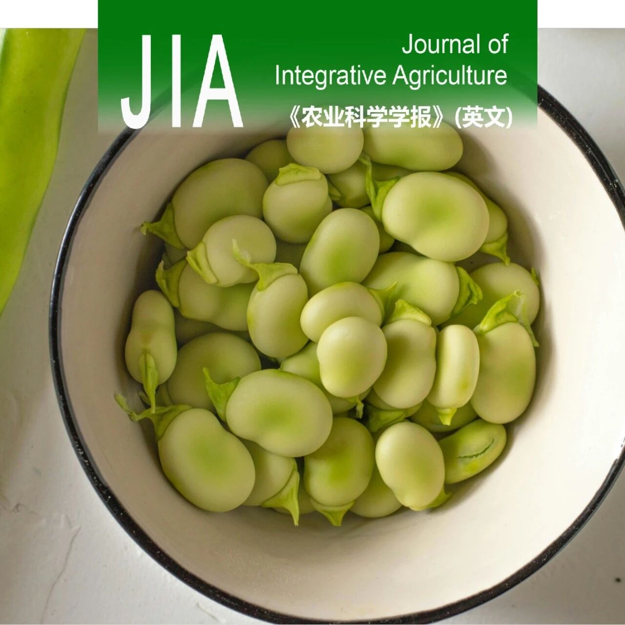 JIA优先上线 | 浙江农林大学现代农学院和中国农科院作科所合作提出基于无人机光谱-纹理融合的蚕豆产量与产量类别早期预测