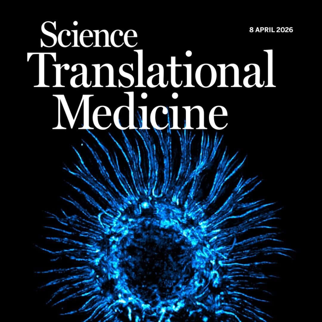 Science子刊 | 封面！破解靶向药“双刃剑”效应，陆军军医大学时雨/卞修武揭示激活WASp可逆转伊布替尼免疫抑制，协同攻击脑瘤