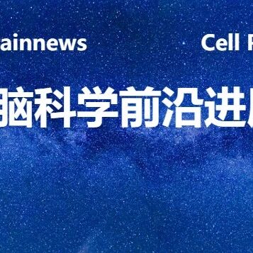 Immunity：福医大张静/陈晓春团队揭示星形胶质细胞促进小胶质细胞炎性活性加剧淀粉样蛋白病理新机制