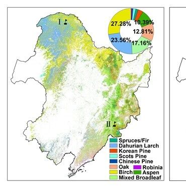 GIScience & Remote Sensing | 东北地理所在东北森林生物量高精度制图研究方面取得重要进展